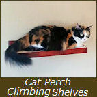Cat Climbing Shelves