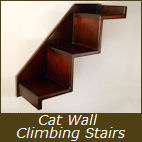 Cat Climbing Stairs
